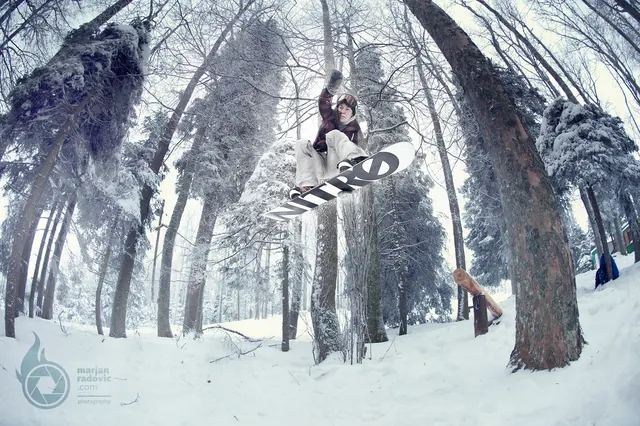 Snowboarder in a snowy forest